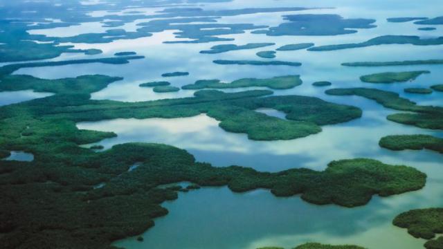 Ten thousand islands -- Marco island.jpg