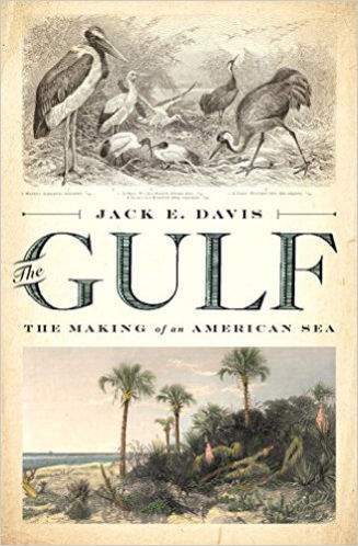 The Gulf.jpg