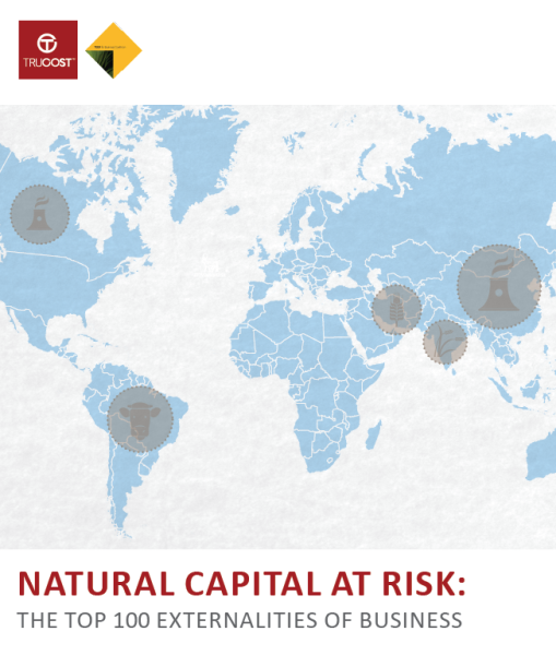 Trucost Top Externalities for Business FOC Report 2013.png