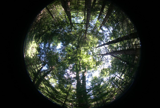 Watching the Planet Breathe.jpg