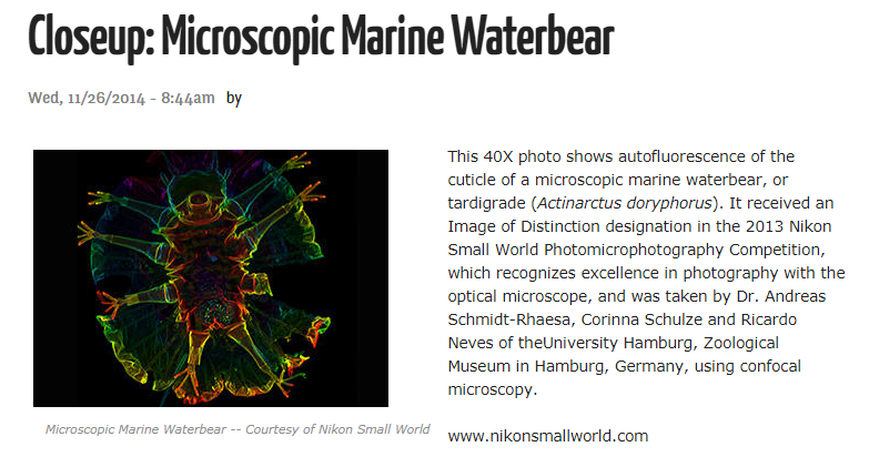 Waterbear-2014.png