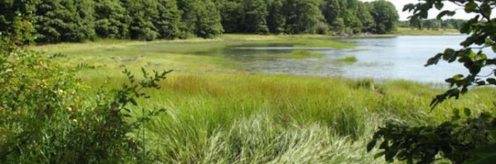 Watershed photo via resilience.org.png