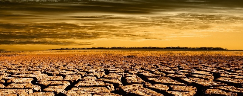 We are now truly in uncharted territory-Falter.jpg