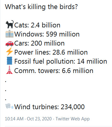 What is killing the birds in the US Trump.jpg