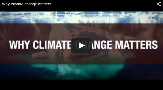 Why Climate Change Matters.png
