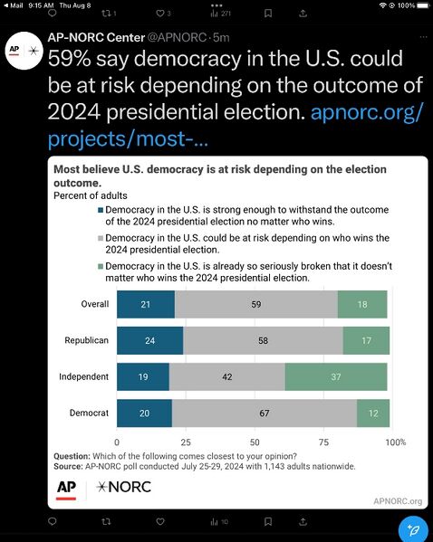 File:AP-NORC poll on Democracy Election.jpg