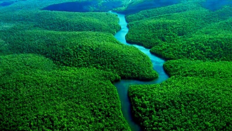 File:Amazon-rainforest.jpg