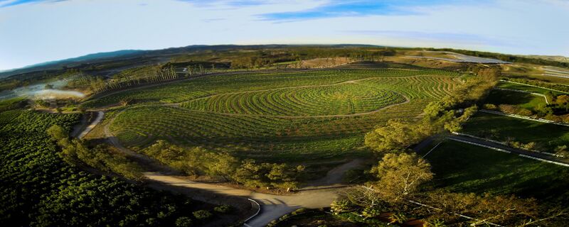 File:Biggest Little Farm panorama.jpeg