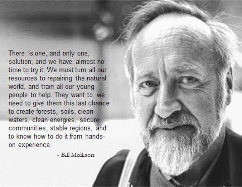 File:Bill Mollison experience.png