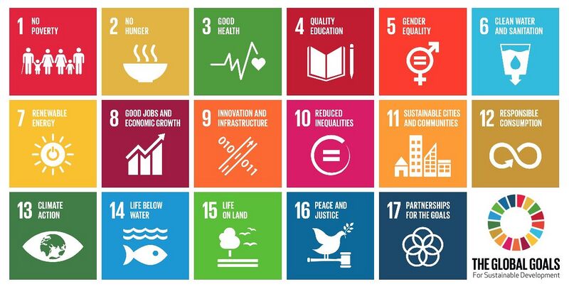 File:Global-goals-17 steps.jpg