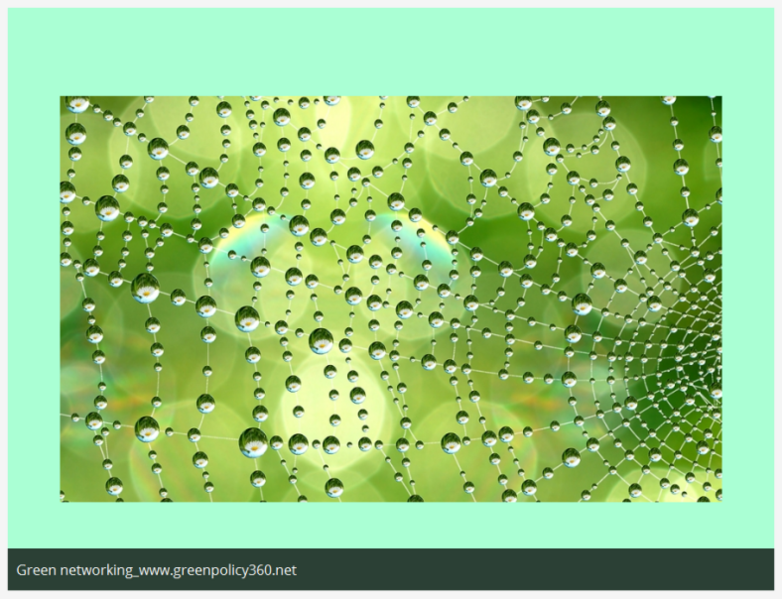 File:Green Networking @GreenPolicy360.net.png