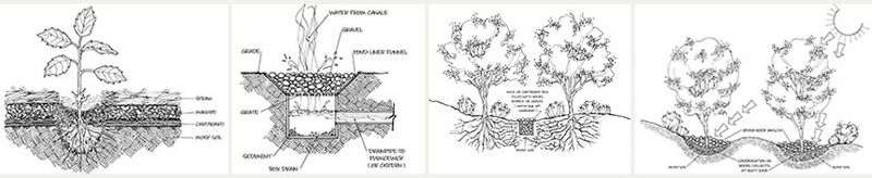 File:HarvesttheRain watersavings1.jpg