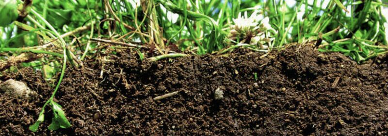 File:Healthy-soil.jpg