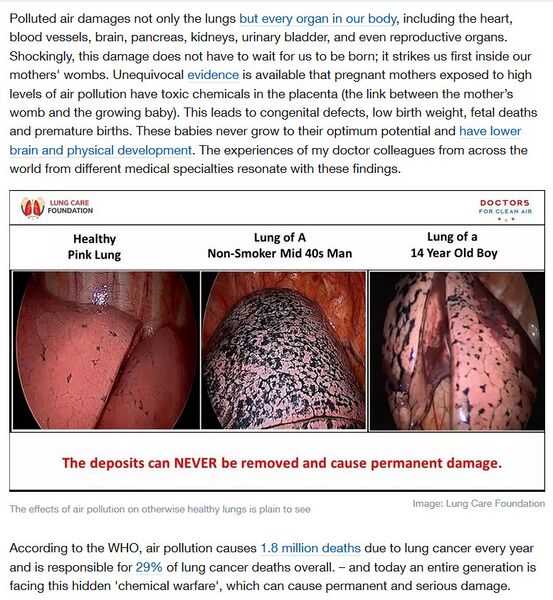 File:Lung Care Foundation-effects of air pollution.webp.jpg