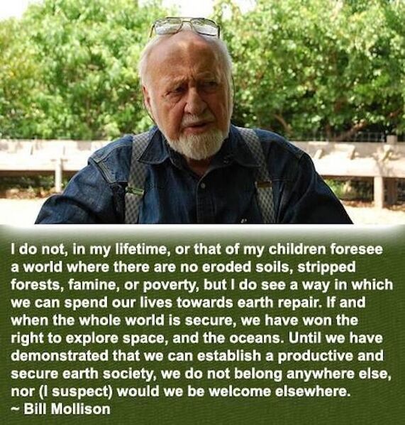 File:Mollison Memory.jpg