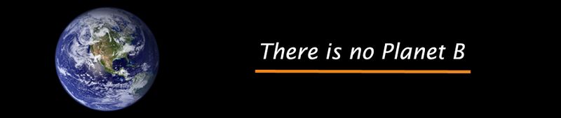 File:Thereisnoplanetb.com .jpg